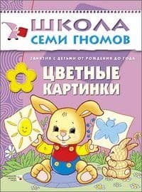 ШСГ.Первый год.0-1.Цветные картинки - купить в магазине Кассандра, фото, 9785867751753, 