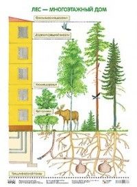 ПЛ Лес - многоэтажный дом - купить в магазине Кассандра, фото, 9785431506413, 
