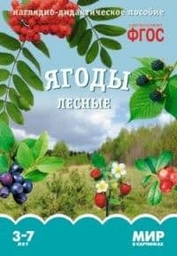 ФГОС.Мир в картинках. Ягоды садовые. - купить в магазине Кассандра, фото, 9785431505867, 