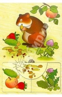 Рамка.Кто что ест.Хомячок.апр.Д-506 - купить в магазине Кассандра, фото, , 