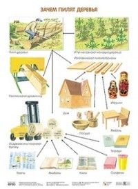 ПЛ Зачем пилят деревья - купить в магазине Кассандра, фото, 9785431506352, 