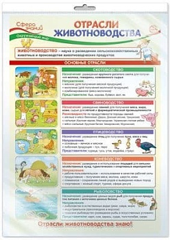 Плакат А3 В ПАКЕТЕ. Окружающий мир в начальной школе. Отрасли животноводства - купить в магазине Кассандра, фото, 4630112021400, 