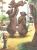 Приключения Чиполлино (ил. М. Митрофанова)- купить в магазине Кассандра, 9785041193799, Приключения Чиполлино (ил. М. Митрофанова)- купить в магазине Кассандра, фото, 9785041193799,