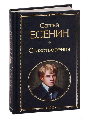 Стихотворения- купить в магазине Кассандра, фото, 9785041178963, 