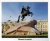 Города моей страны. Санкт-Петербург.12 демонстрационных картинок с текстом (210х250)- купить в магазине Кассандра, 9785994932124, Города моей страны. Санкт-Петербург.12 демонстрационных картинок с текстом (210х250)- купить в магазине Кассандра, фото, 9785994932124,