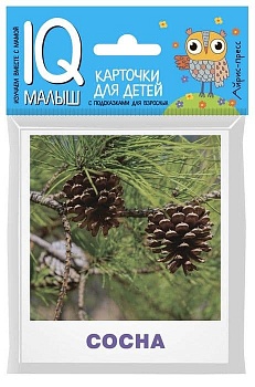 Умный малыш. Деревья - купить в магазине Кассандра, фото, 9785811265060, 