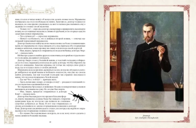 Любимые сказки Туве.Финские волшебные истории о троллях  гномах и других существах- купить в магазине Кассандра, фото, 9785001857167, 