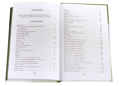 Я встретил вас.Тютчев- купить в магазине Кассандра, фото, 9785080063725, 