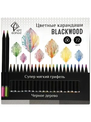 Набор акварельных карандашей АРТформат Blackwood 36 цв. трехгран. корп. дерев. карт- купить в магазине Кассандра, фото, 4602723195542, 