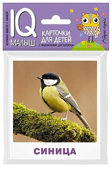 Умный малыш. Птицы - купить в магазине Кассандра, фото, 9785811264919, 
