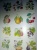СПРАВОЧНИК. Растения: деревья, кустар. , травы- купить в магазине Кассандра, 9785906889522, СПРАВОЧНИК. Растения: деревья, кустар. , травы- купить в магазине Кассандра, фото, 9785906889522,