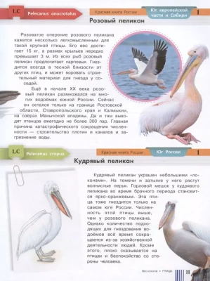 Красная книга России- купить в магазине Кассандра, фото, 9785171551285, 