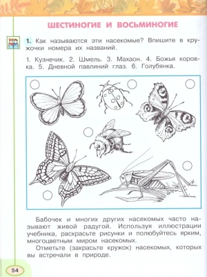 ПШ.Окружающий мир 2кл.Плешаков.Рабочая тетрадь.Ч.1.2023.ФГОС- купить в магазине Кассандра, фото, 9785090900812, 
