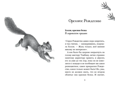 Двенадцать секретов (#8)- купить в магазине Кассандра, фото, 9785041191016, 