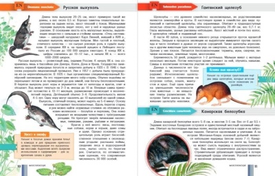 Красная книга мира- купить в магазине Кассандра, фото, 9785171131791, 
