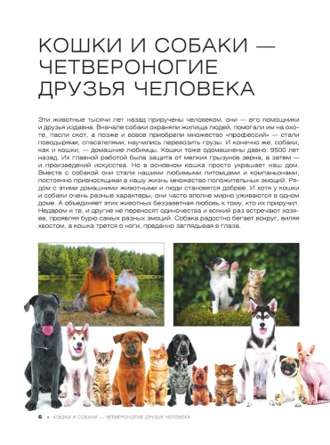 Большая книга о кошках и собаках. 1001 фотография- купить в магазине Кассандра, фото, 9785171576318, 