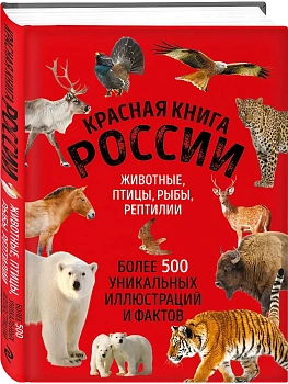 Красная книга России. Большой формат. Более 500 уникальных иллюстраций и фактов (новое издание) (основной) - купить в магазине Кассандра, фото, 9785042179723, 