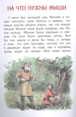 Прыжок. Рассказы и сказки- купить в магазине Кассандра, фото, 9785001324911, 