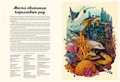 Океанариум- купить в магазине Кассандра, фото, 9785389179899, 
