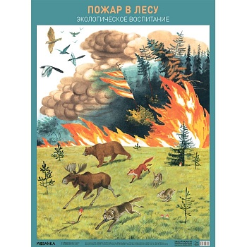 Плакат.Пожар в лесу - купить в магазине Кассандра, фото, 9785431527074, 