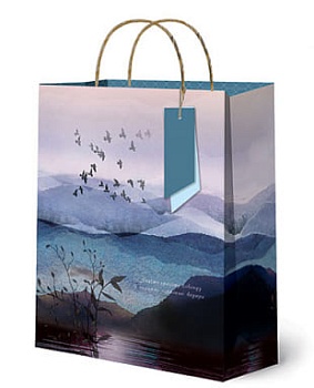 Сумка AB+ 264х360х160 - купить в магазине Кассандра, фото, 4607039040210, 
