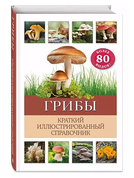 Грибы. Краткий иллюстрированный справочник - купить в магазине Кассандра, фото, 9785041931452, 