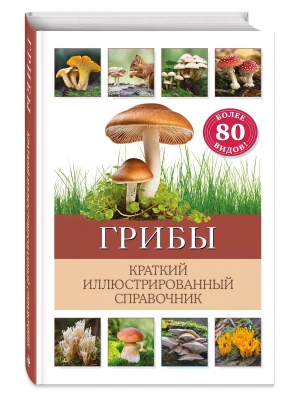 Грибы. Краткий иллюстрированный справочник- купить в магазине Кассандра, фото, 9785041931452, 