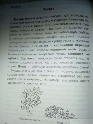 СПРАВОЧНИК. Растения: деревья, кустар. , травы- купить в магазине Кассандра, фото, 9785906889522, 