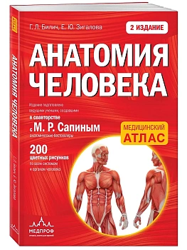 Анатомия человека: 2 издание - купить в магазине Кассандра, фото, 9785699846238, 