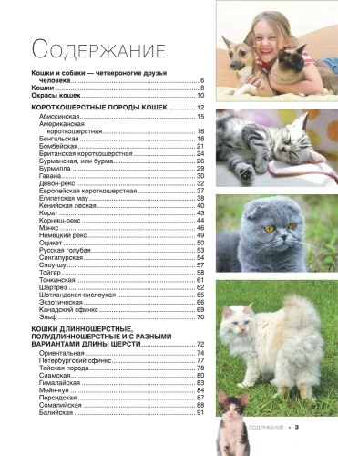 Большая книга о кошках и собаках. 1001 фотография- купить в магазине Кассандра, фото, 9785171576318, 