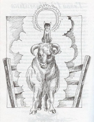 Шамайка- купить в магазине Кассандра, фото, 9785080070440, 