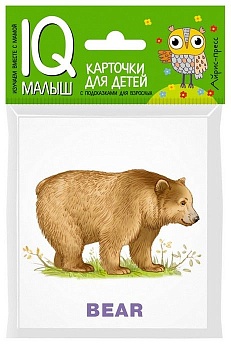 Умный малыш. ENGLISH. Зоопарк - купить в магазине Кассандра, фото, 9785811266111, 