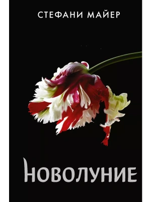 Новолуние (новое оформление)- купить в магазине Кассандра, фото, 9785171366230, 