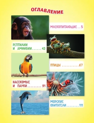 Самые милые животные. Большая энциклопедия для маленьких- купить в магазине Кассандра, фото, 9785041775858, 