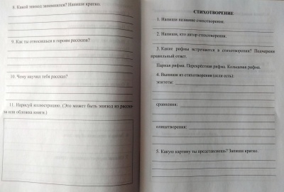 Читательский дневник. Чтение на 5: 2 класс. Примеры анализа и литературоведческий словарик- купить в магазине Кассандра, фото, 4630042758766, 