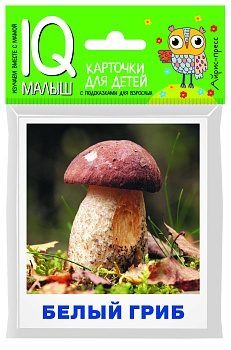 Умный малыш. Грибы наших лесов. Набор карточек для детей. - купить в магазине Кассандра, фото, 9785811277735, 