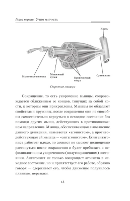 Практическая кинезиология: как перевоспитать мышцы-халтурщицы- купить в магазине Кассандра, фото, 9785171268077, 