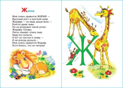 Мохнатая азбука- купить в магазине Кассандра, фото, 9785978110548, 
