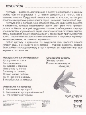 Дем. картинки СУПЕР Овощи.16 демонстр.картинок с текстом(173х220мм)- купить в магазине Кассандра, фото, 9785994909744, 