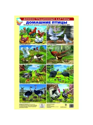 Демонстрационные картины. ДОМАШНИЕ ПТИЦЫ. Методич. мат-л к ООП ДОО. 8 картин А3+- купить в магазине Кассандра, фото, 9785994918012, 