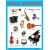Плакаты (англ). Musical Instruments (Музыкальные инструменты)- купить в магазине Кассандра, 9785431510069, Плакаты (англ). Musical Instruments (Музыкальные инструменты)- купить в магазине Кассандра, фото, 9785431510069,