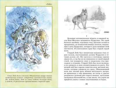 Мустанг-иноходец и другие рассказы- купить в магазине Кассандра, фото, 9785978111712, 