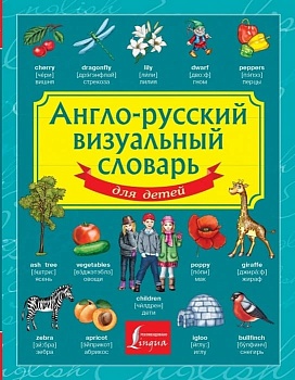 Сл.Англо-русский визуальный словарь для детей - купить в магазине Кассандра, фото, 9785170822201, 