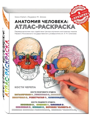 Анатомия человека: атлас-раскраска- купить в магазине Кассандра, фото, 9785699715060, 