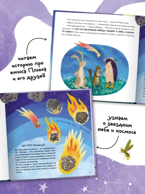 Книжный клуб. Почитаем вместе? Подсказки в сказке. Где моя звёздочка?- купить в магазине Кассандра, фото, 9785431538414, 