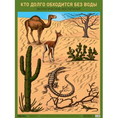 Плакат.Кто долго обходится без воды- купить в магазине Кассандра, фото, 9785431527050, 