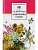 Аленушкины сказки - купить в магазине Кассандра, фото, 9785080076183, 