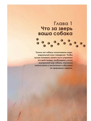 Дрессировка и воспитание собаки- купить в магазине Кассандра, фото, 9785042128219, 