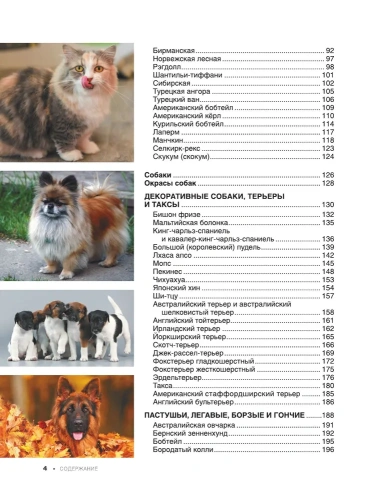 Большая книга о кошках и собаках. 1001 фотография- купить в магазине Кассандра, фото, 9785171576318, 