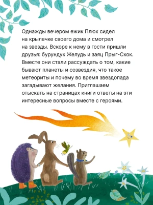 Книжный клуб. Почитаем вместе? Подсказки в сказке. Где моя звёздочка?- купить в магазине Кассандра, фото, 9785431538414, 
